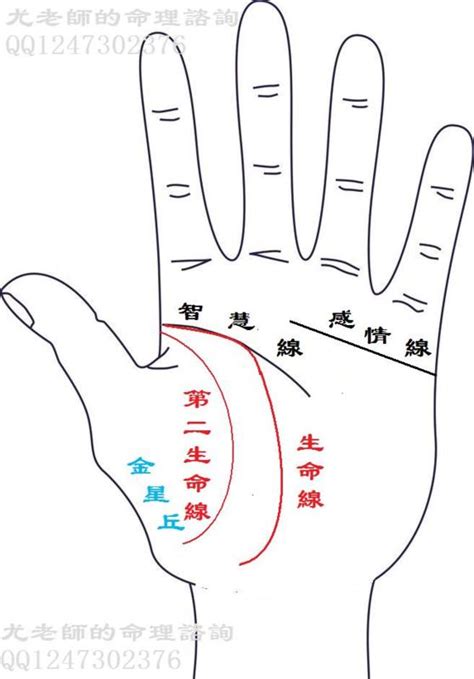 生命線分兩條|你也有兩條生命線？